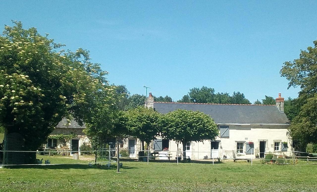 Les Chambres Du Vau Profond Vernoil Exterior foto